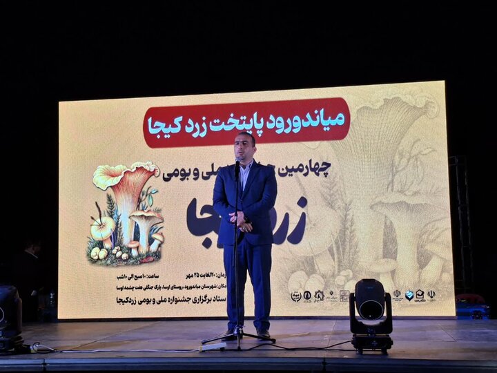 بابایی: میاندورود از رویشگاههای کم نظیر قارچهای طبیعی است بابایی: میاندورود از رویشگاههای کم نظیر قارچهای طبیعی است