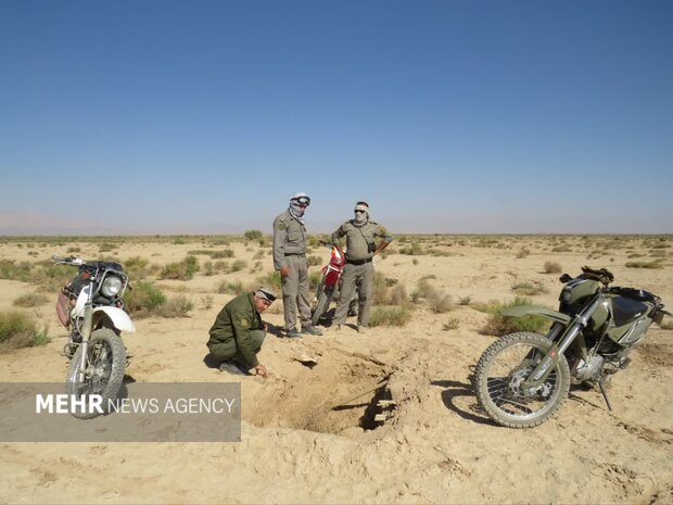 ضربه قاطع به قاچاقچیان پرندگان شکاری در دامغان ضربه قاطع به قاچاقچیان پرندگان شکاری در دامغان