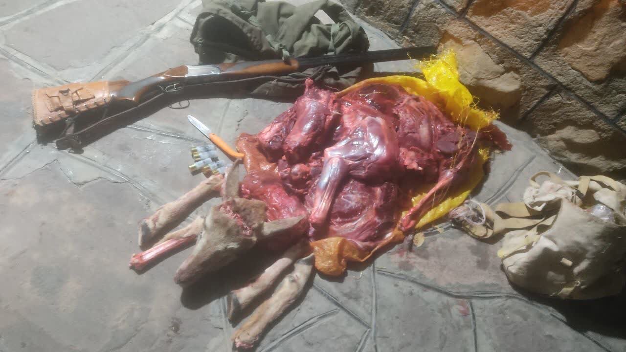 دستگیری ۳ شکارچی در پارک ملی صیدوا؛ قوچ وحشی شکار شد