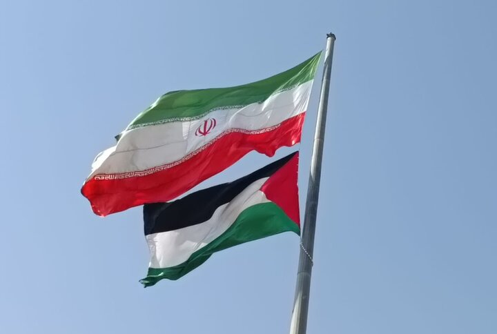 Not attending Egypt summit symbol of Iran diplomatic maturity