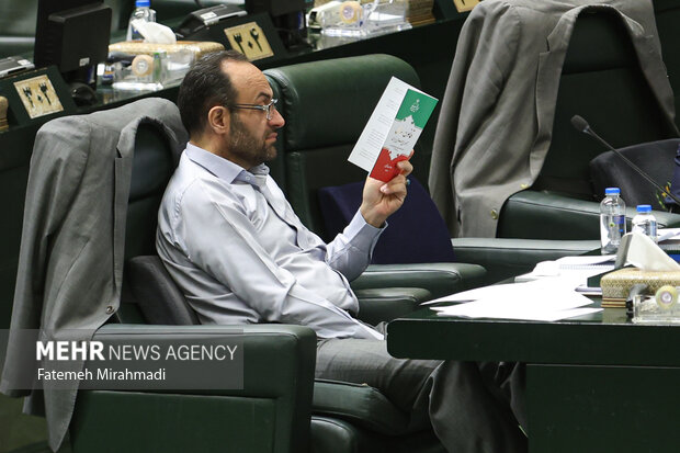 صحن علنی مجلس 17