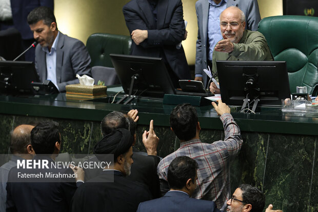 صحن علنی مجلس 29