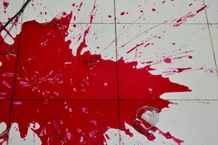 کشف قتل و دستگیری سه قاتل در وفس کشف قتل و دستگیری سه قاتل در وفس