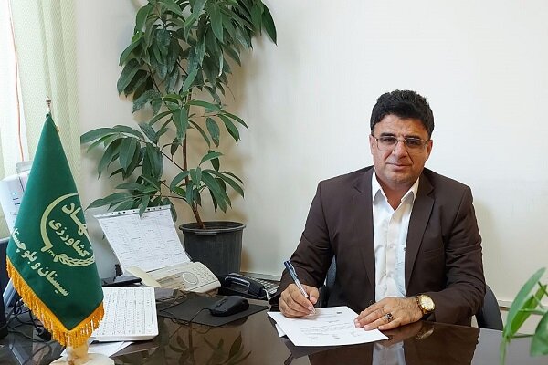 خاشی: صادرات محصولات گلخانه ای خاش به بازارهای جهانی آغاز شد