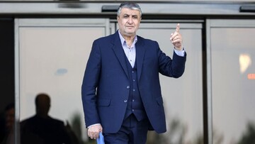 رئيس منظمة الطاقة الذرية الايرانية: تشعيع المنتجات الزراعية يفتح افاق اقتصادية للبلاد