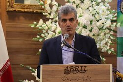 محمدی: برداشت ۲۲۰ هزار تن کیوی از باغات گیلان پیش‌بینی می‌شود