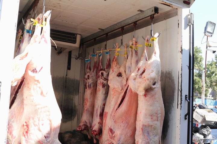 بازار «گوشت» زیر ذرهبین؛ نوسان قیمتها بین ۴۵۰ تا ۷۰۰ هزار تومان!