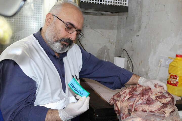 بازار «گوشت» زیر ذرهبین؛ نوسان قیمتها بین ۴۵۰ تا ۷۰۰ هزار تومان!