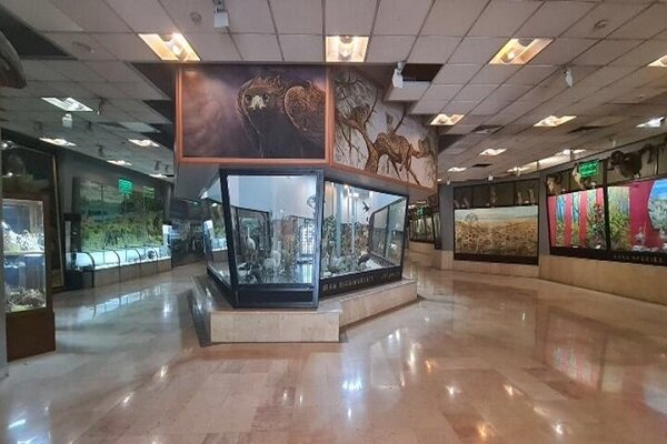 از درجه‌بندی حفاظتی 45 غار تا راه‌اندازی پایگاه داده تنوع زیستی ایران