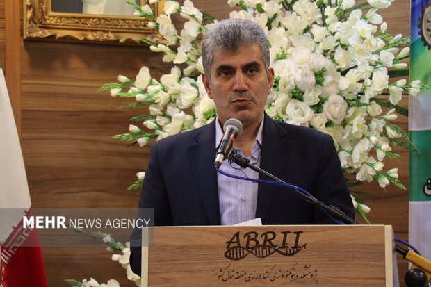 محمدی: بیش از ۳۷۰ هزار هکتار اراضی کشاورزی گیلان رفع تداخل شد