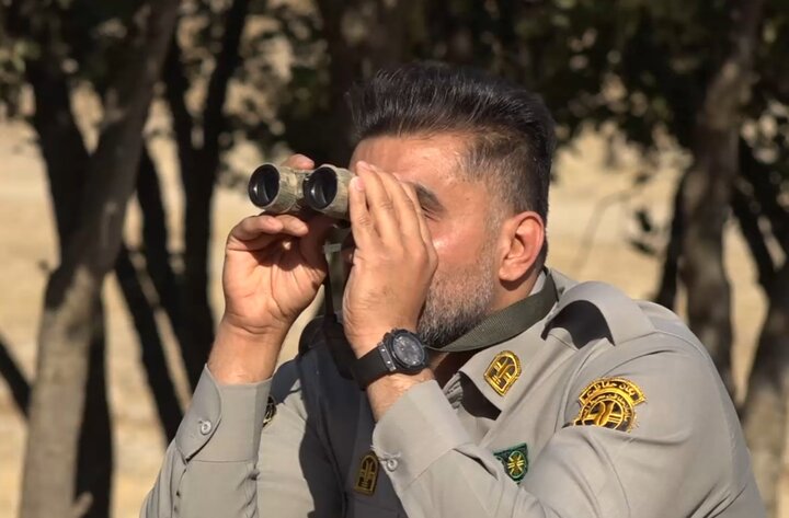 چشمان بیدار سفیدکوه؛ قلعه گونههای نادر نگهبان میخواهد! 5
