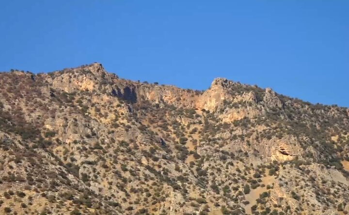 چشمان بیدار سفیدکوه؛ قلعه گونههای نادر نگهبان میخواهد! 2