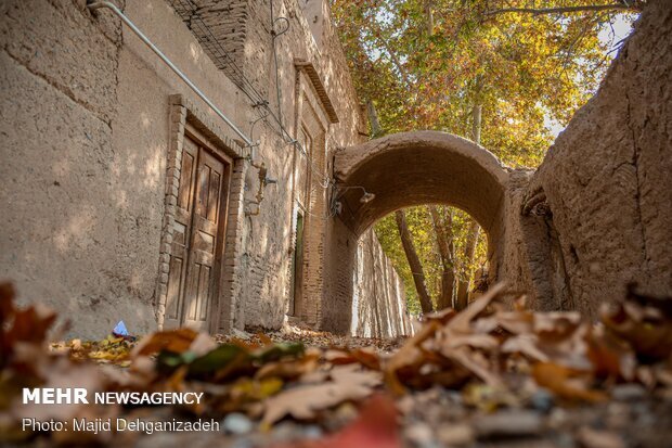 احداث بوستان ۲.۲ هکتاری محله علی‌آباد تهران در مرحله اجرا است