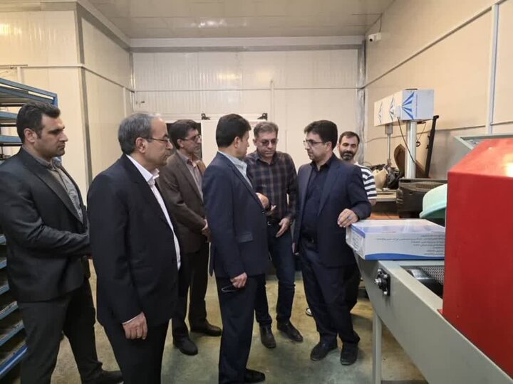 مدیرکل دیوان محاسبات لرستان از مزارع پرورش ماهی سلسله بازدید کرد