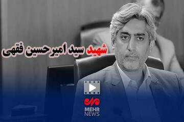 بدون تعارف با خانواده دانشمند هسته‌ای، شهید امیرحسین فقهی