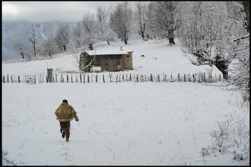 الهام‌ از یک افسانه‌ محلی در تالش؛ فیلم‌های غیراجتماعی مهجور شده‌اند!