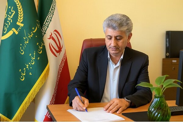 رونق کشاورزی گلخانه ای در سیستان؛ بیش از ۳۱۰۰ نفر شاغل در زابل و زهک