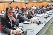 Dünya Parlamentolar Birliği (IPU) Zirvesi Cenevre'de başladı