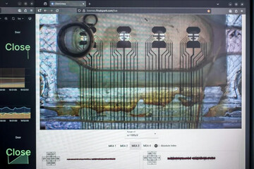 فعالسازی رایانه با مینی مغزهای انسان ممکن می‌شود