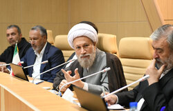 آیت الله دژکام: رشد جامعه با مشورت تضمین می‌شود
