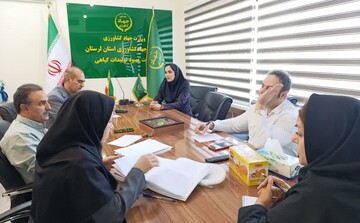 ۵۱ مزرعه تحقیقاتی لرستان به طرح تولید پایدار گندم و جو اختصاص یافت