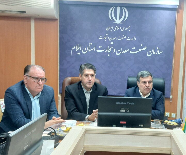 رحیمی: ۲۶ شرکت پخش سراسری در ایلام فعالیت دارند رحیمی: ۲۶ شرکت پخش سراسری در ایلام فعالیت دارند