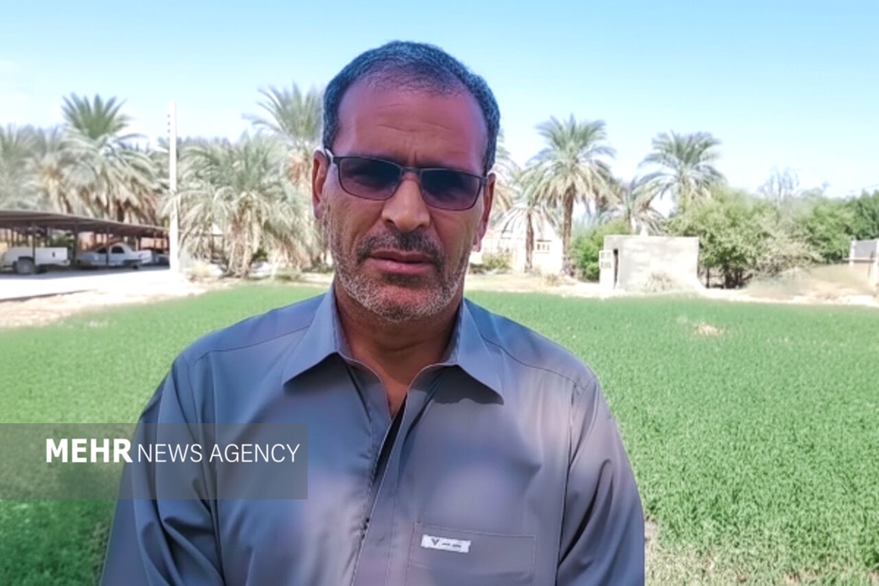 تولید شیره خرما به روش سنتی؛ هنر فراموش‌ نشدنی زنان دلگانی