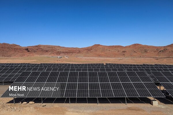 پسته بر روی درختان باغهای راور خشک شد