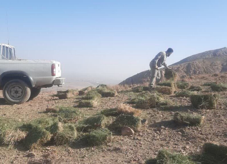 اقدام،علوفه،شاهرود،حمايتي،وحش،گياهي،پيشگيري