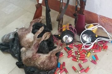نقی لو: شکارچی غیرمجاز در چاراویماق دستگیر شد