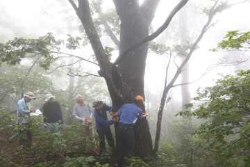 «با صدای زنگ‌ها»؛ اولین مستند ایرانی در سینمای کره‌جنوبی
