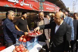 خجسته‌پور: جشنواره انار نماد عشق و تلاش مردمان زاگرس است