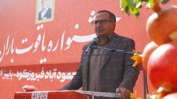 زمانی‌نژاد: انار محمودآباد رتبه نخست تولید استان تهران را دارد