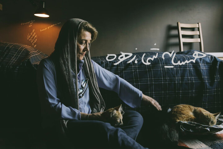 «همسایه شما، زهره» اکران آنلاین میشود «همسایه شما، زهره» اکران آنلاین میشود