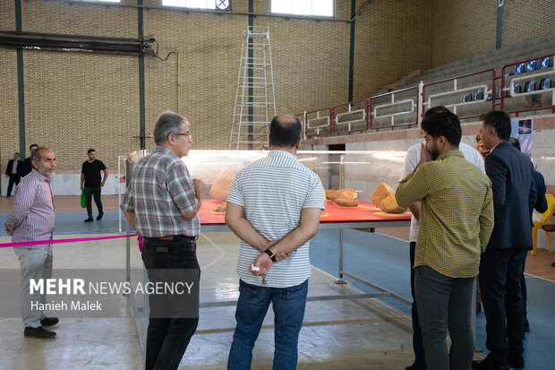 افتتاحیه نمایشگاه بزرگترین شهاب سنگ ایران در گرگان