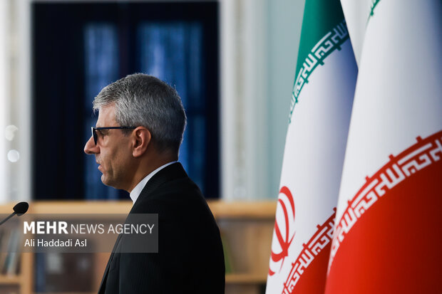 اسماعیل بقایی، سخنگوی وزارت امور خارجه