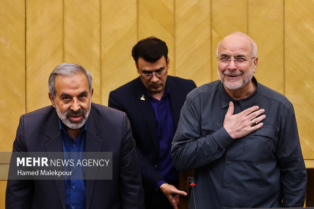 نشست مجمع نمایندگان استان تهران با حضور رئیس مجلس