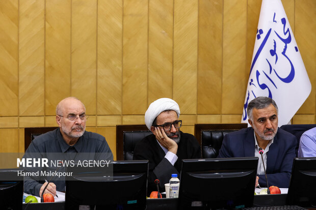 نشست مجمع نمایندگان استان تهران با حضور رئیس مجلس 14