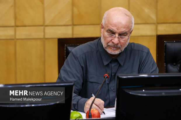 نشست مجمع نمایندگان استان تهران با حضور رئیس مجلس