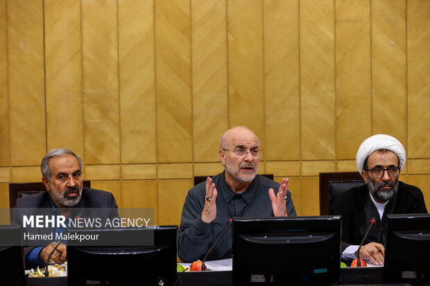 نشست مجمع نمایندگان استان تهران با حضور رئیس مجلس 36