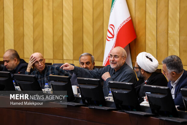 نشست مجمع نمایندگان استان تهران با حضور رئیس مجلس 34