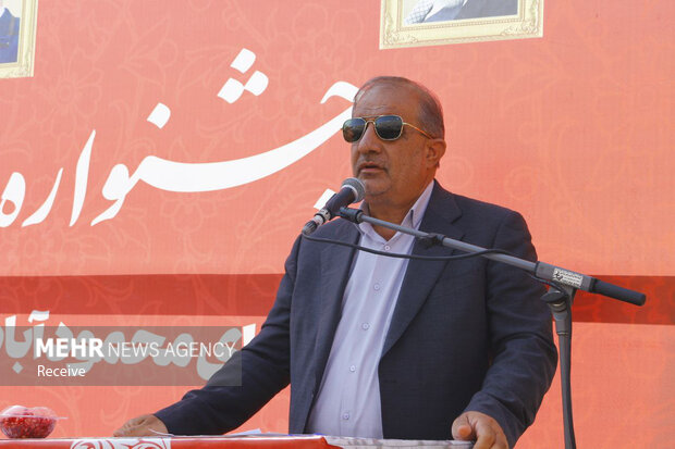 جشنواره انار در روستای محمودآباد فیروزکوه