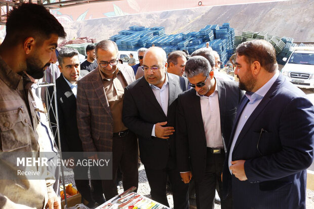 جشنواره انار در روستای محمودآباد فیروزکوه