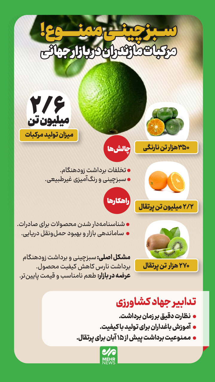 اینفوگرافیک؛ دست نگه دارید؛ سبزچینی مرکبات ممنوع!
