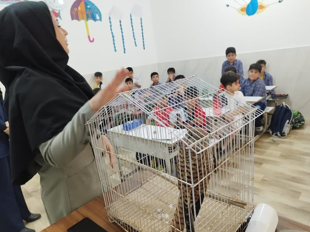 محیط زیست مراقبت میخواهد؛ لزوم فرهنگسازی از سن کودکی