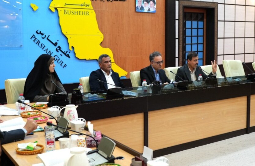 شیرافکن: موقعیت‌های تعارض منافع در دستگاه‌های اجرایی بوشهر شناسایی شود