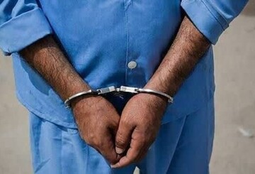 متخلفان شکار غیرمجاز در دشتستان دستگیر  شدند