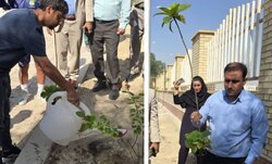 کاشت نهال به مناسبت هفته تربیت بدنی در کنگان