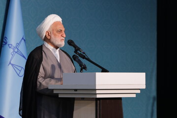 هم افزایی میان دانشگاه ها و دستگاه قضایی منجر به عدالت اجتماعی می شود