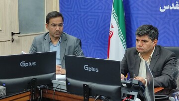 حسینی: سمن‌های دارای زمینه فعالیت «تشویق به فرزندآوری» مجوز می‌گیرند